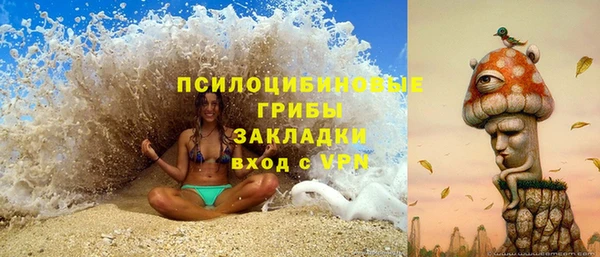 прущий лед Нея
